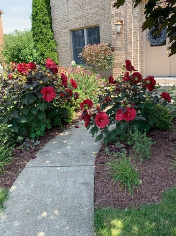 1003 Deveron Ct, Jeannette PA  15644-1056 exterior