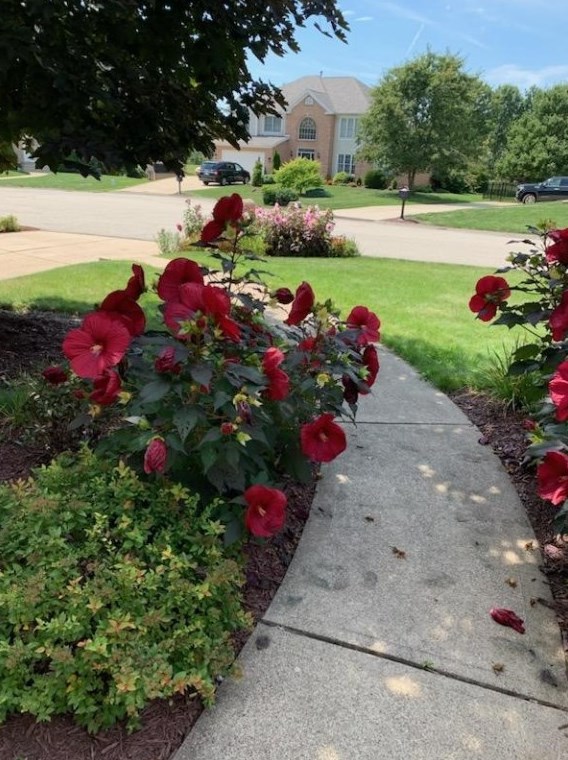 1003 Deveron Ct, Jeannette PA  15644-1056 exterior