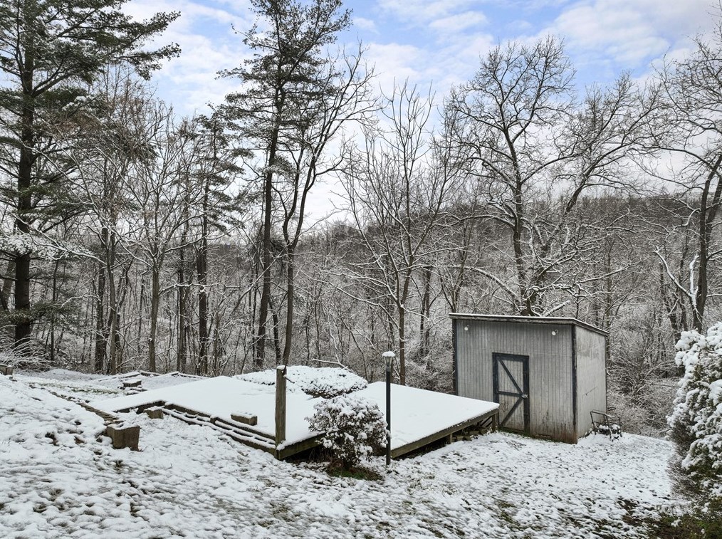 283 Duck Hollow Rd, Oliphant Furnace, PA 15401-8955
