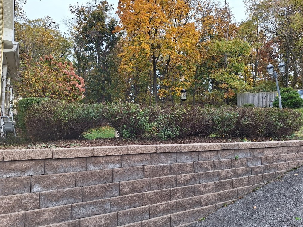 2560 Oldfield Ave, Bethel Park PA  15102-2727 exterior