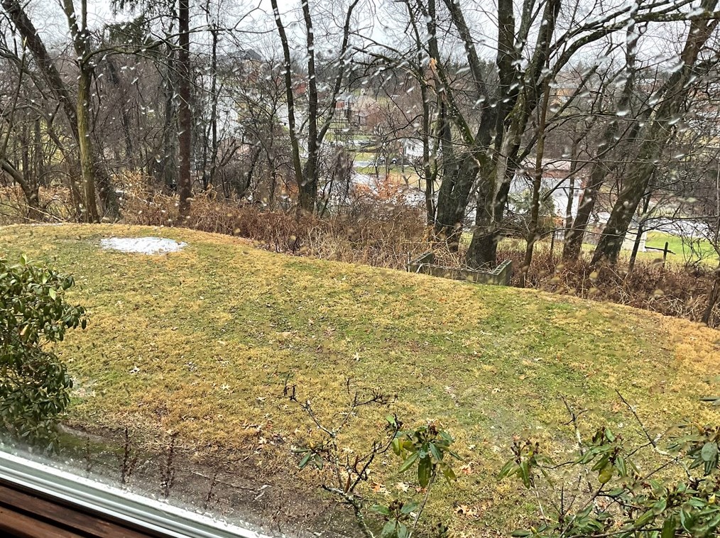 2587 Lightwood Ave, Bethel Park PA  15102-2071 exterior
