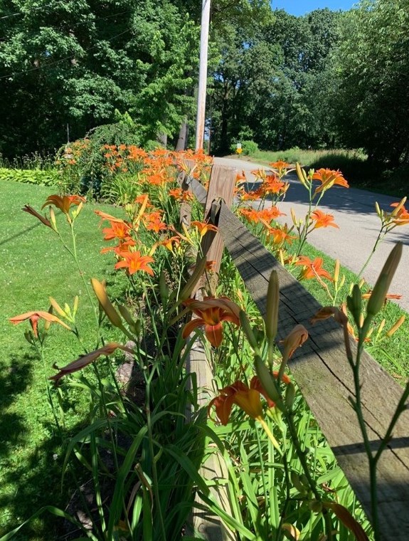 115 Roskovensky Rd, Latrobe PA  15650-5488 exterior