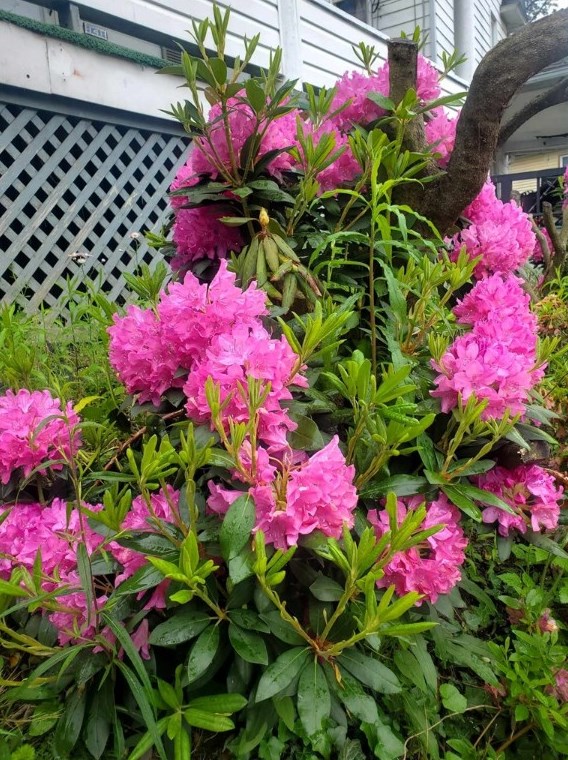 141 Standard Ave, Butler PA 16001 exterior