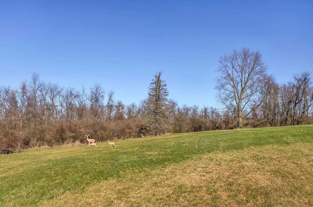 6046 Apache Ln, Export PA  15632-1510 exterior