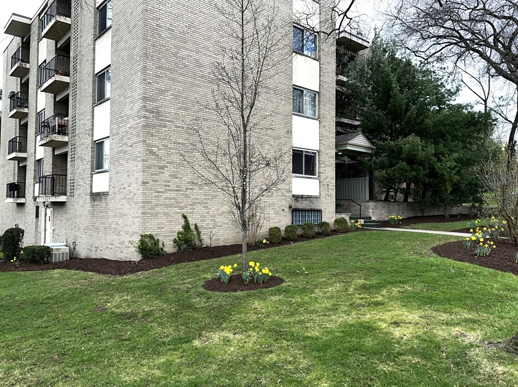 605 Shady Ave #2b, Pittsburgh, PA 15206