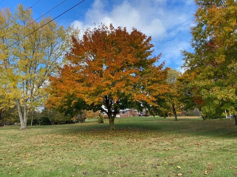 207 Headland Rd, Butler PA  16002-9124 exterior