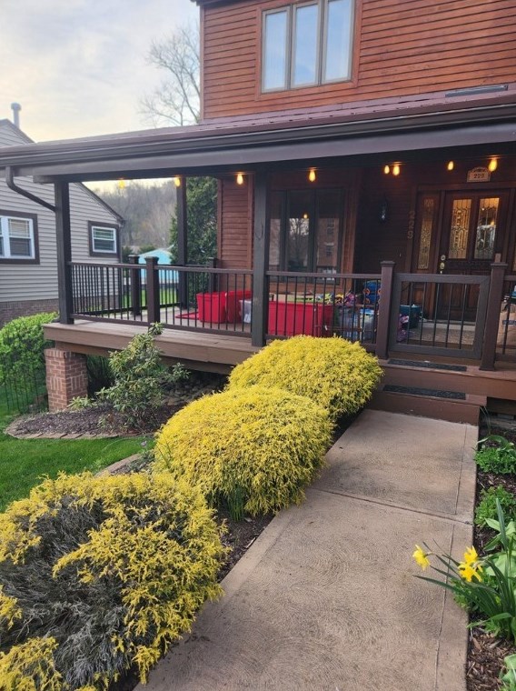 229 Sycamore Ridge Dr, Springdale, PA 15144