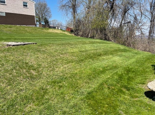 423 Springwood Dr, Verona PA  15147-2623 exterior