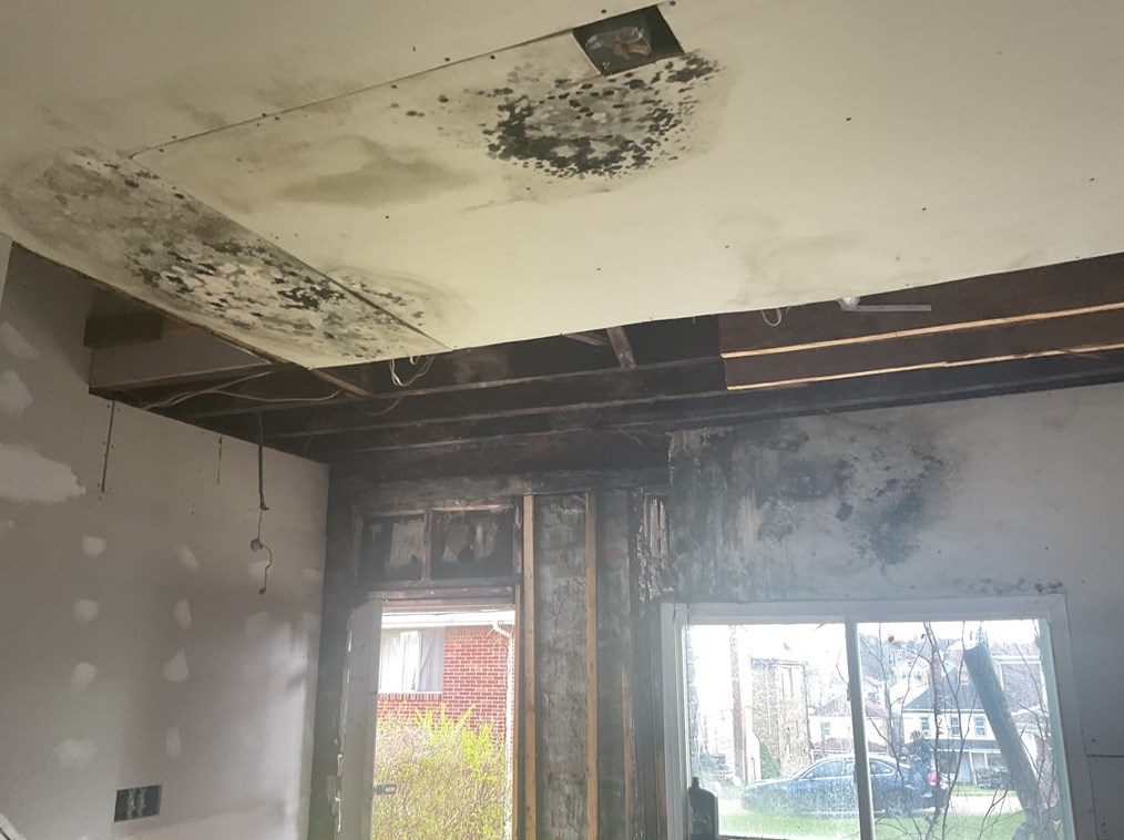 340 11 Ave, Whitaker PA  15120-1439 exterior