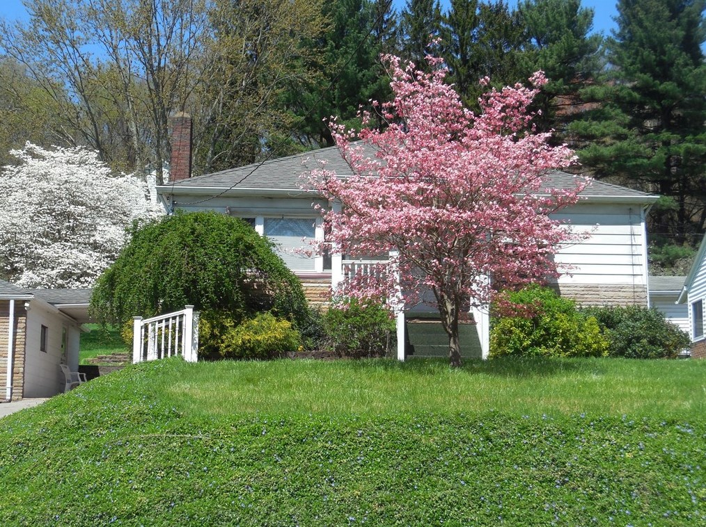 817 N Liberty St, New Castle, PA 16102