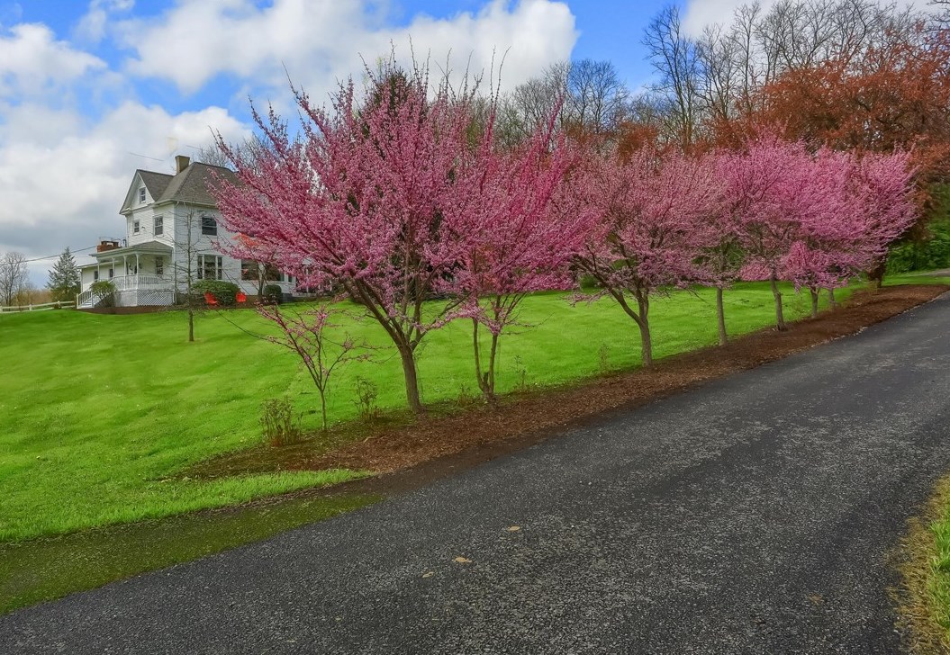 164 Leisie Rd, Renfrew, PA 16053