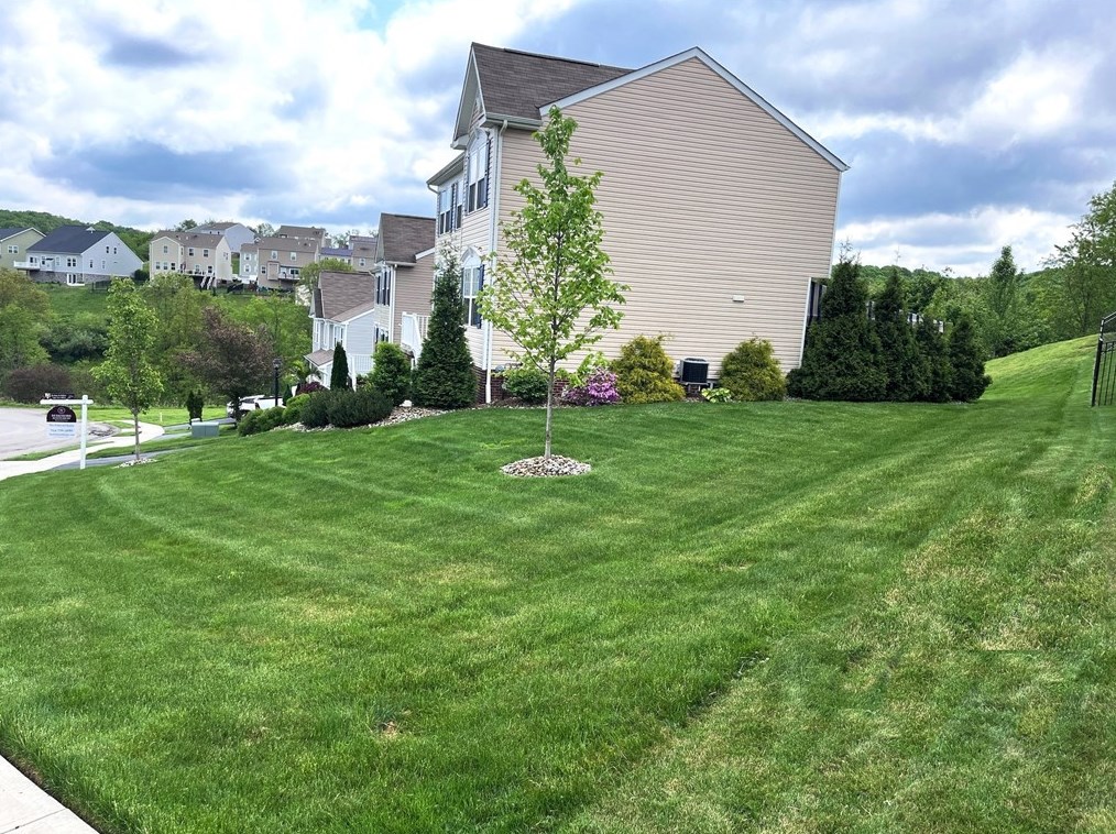 205 Old Hickory Rd, Zelienople PA  16063-4012 exterior