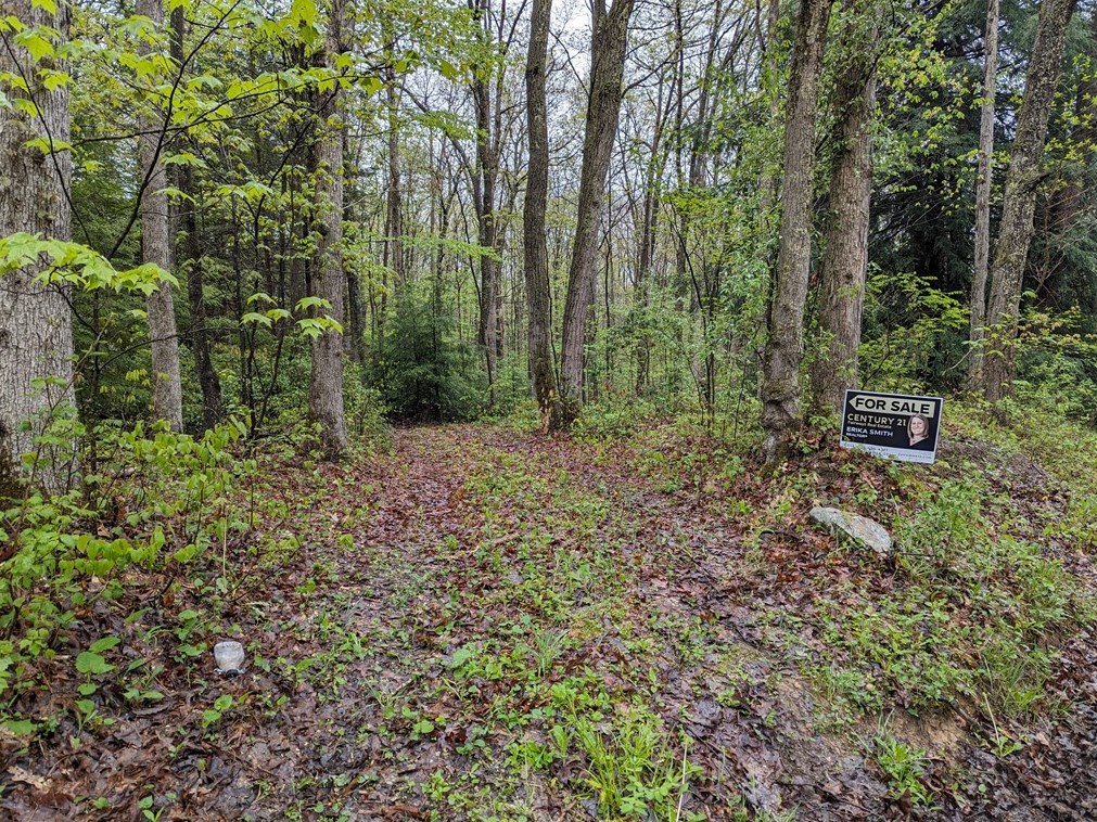 358 Back Rd, Listonburg, PA 15424