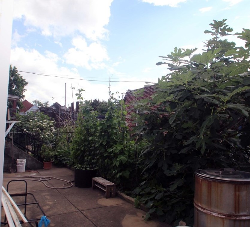 368 Evaline St, Pittsburgh PA 15224-0012 exterior