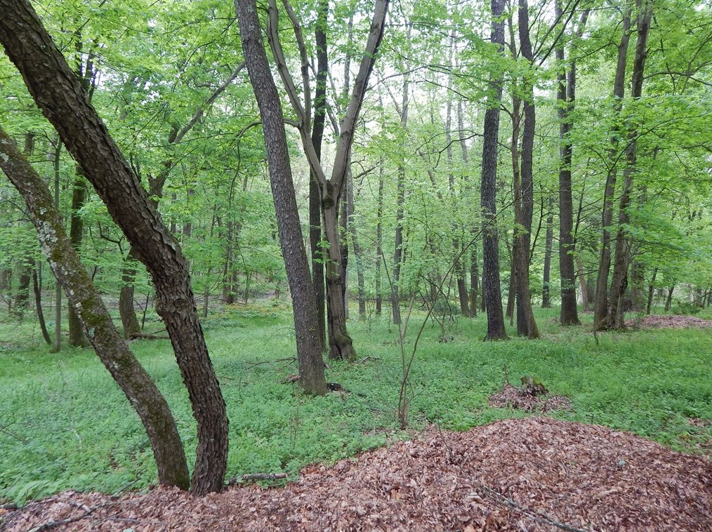 266 Pinehurst Rd, Butler PA exterior