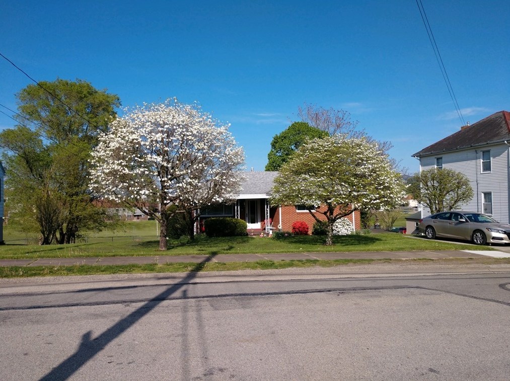 112 Easy St, Oliphant Furnace, PA 15401-3171