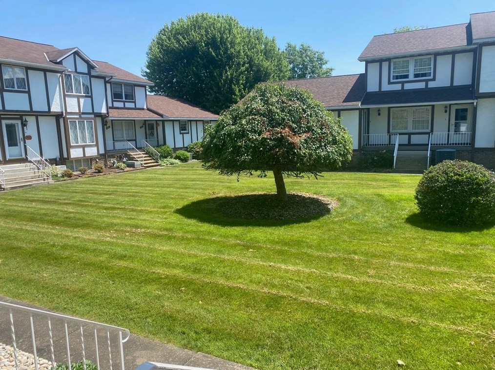 1205 Alpen Strasse, Latrobe, PA 15650-3414