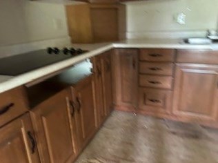 131 Hutchinson St, Oliphant Furnace, PA 15401-6527