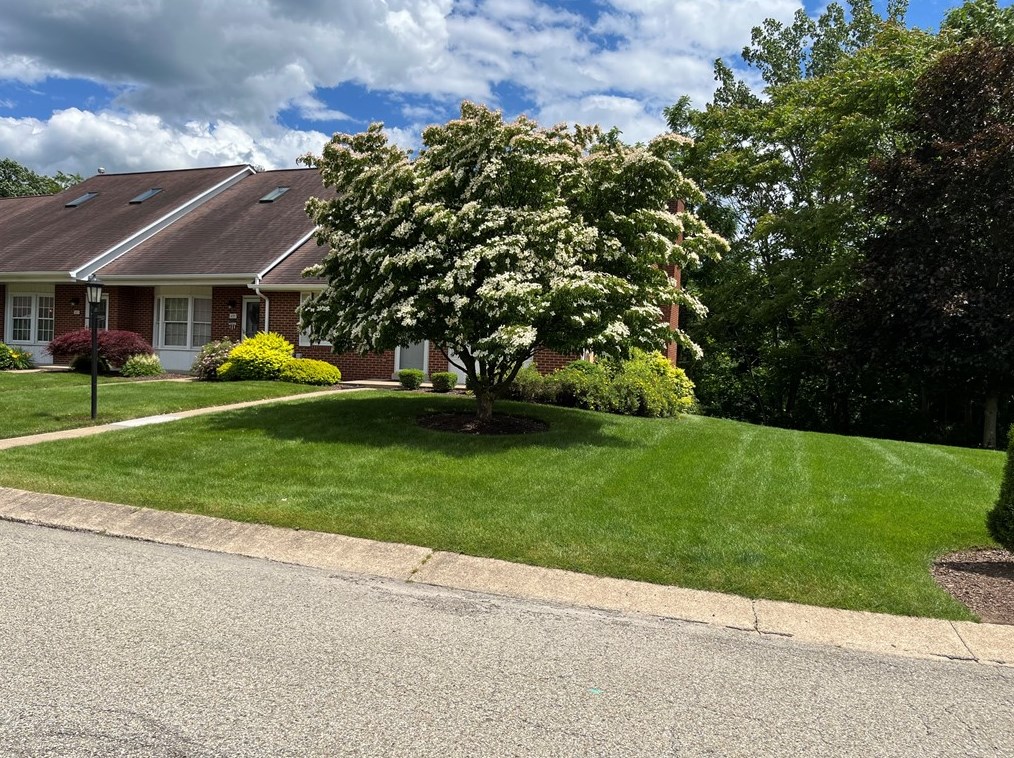637 Frank Dr, New Kensington, PA 15068-4956
