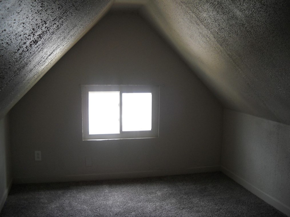 721 7 St, Monroeville PA 15140-1210 exterior