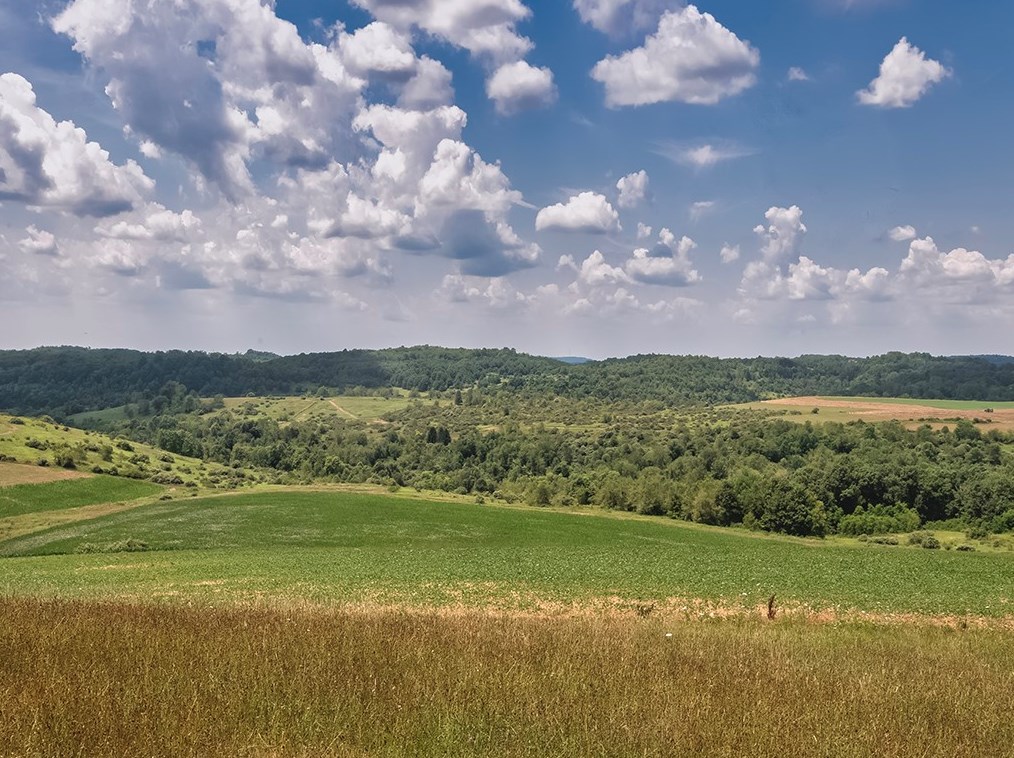 1256 Elders Ridge Rd, Saltsburg, PA 15681