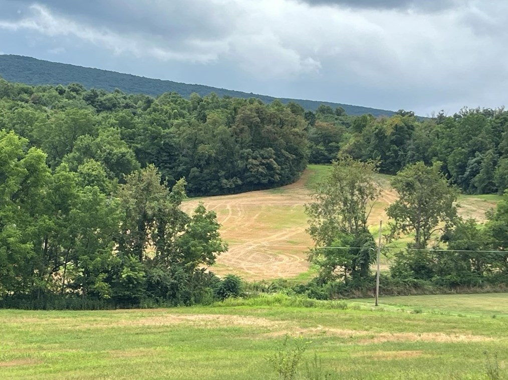 350 Clark Rd, Smithfield, PA 15478