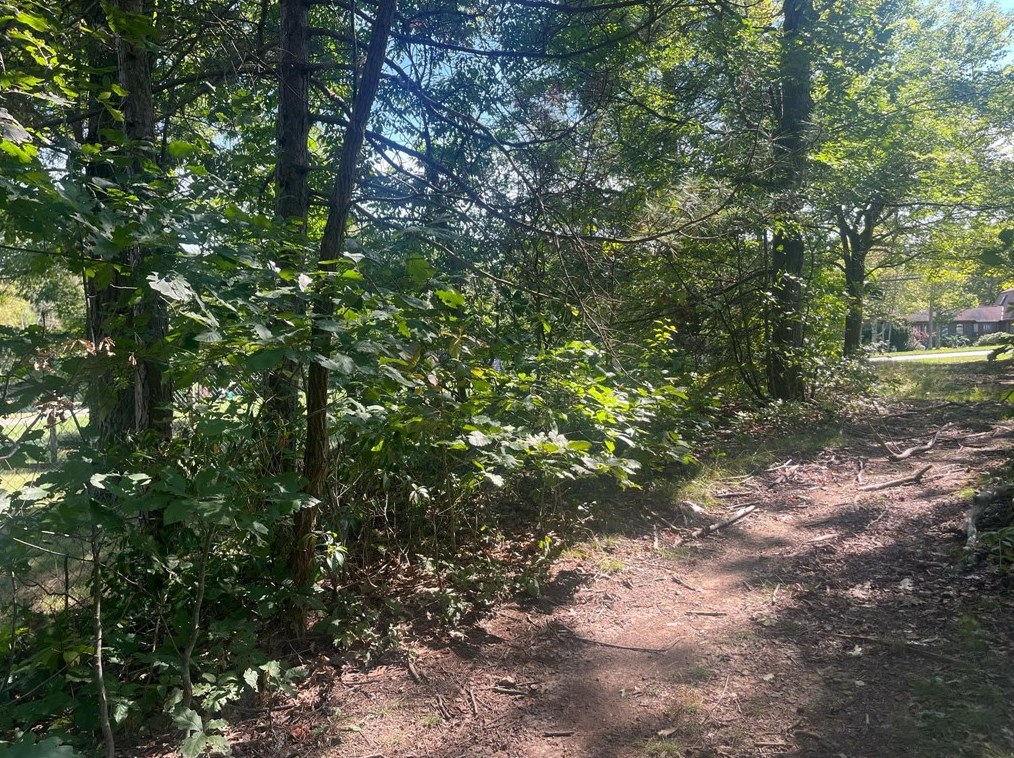 5121 National Pike, Markleysburg, PA 15459