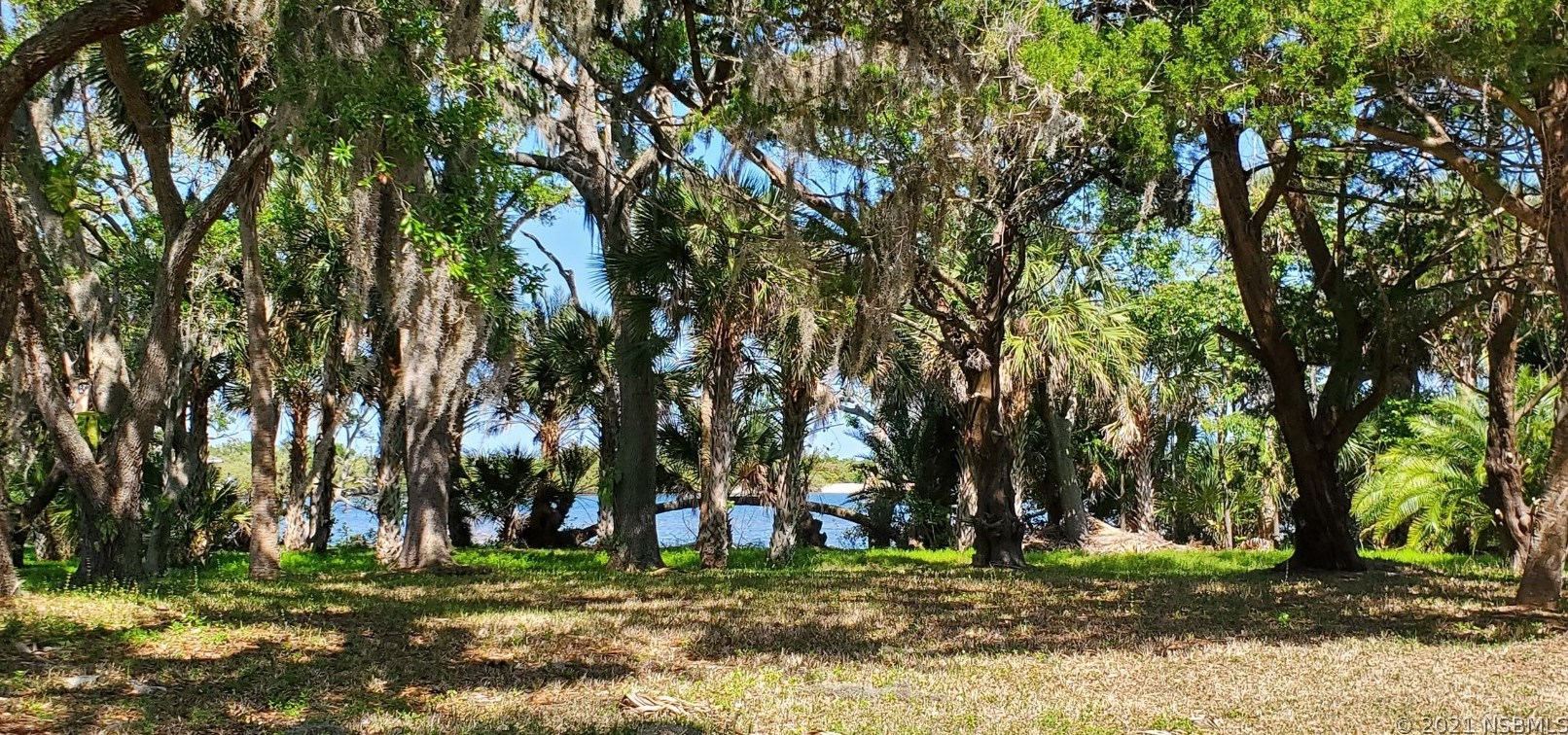 1508 S Riverside Dr, Edgewater, FL 32132