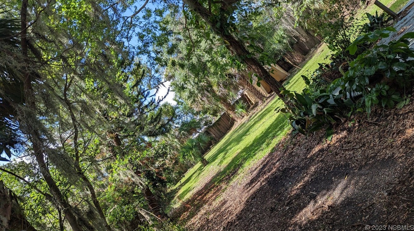 831 Plum Ave, New Smyrna, FL 32168-6933