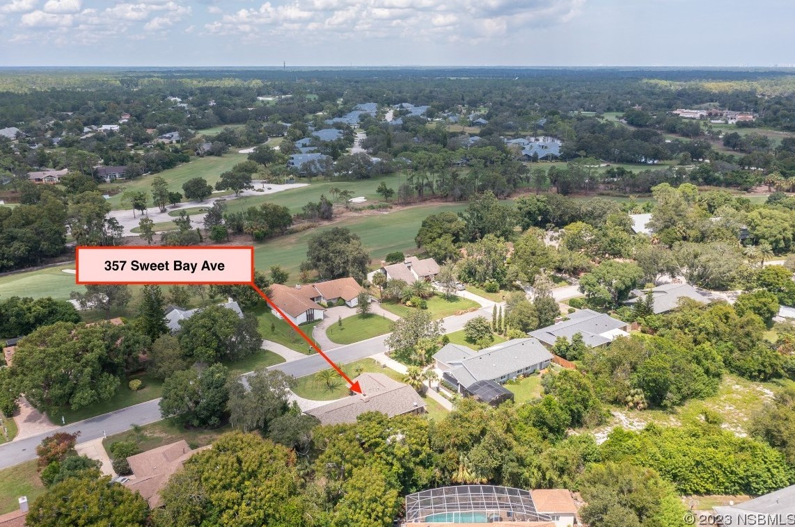 357 Sweet Bay Ave, New Smyrna FL  32168-7971 exterior