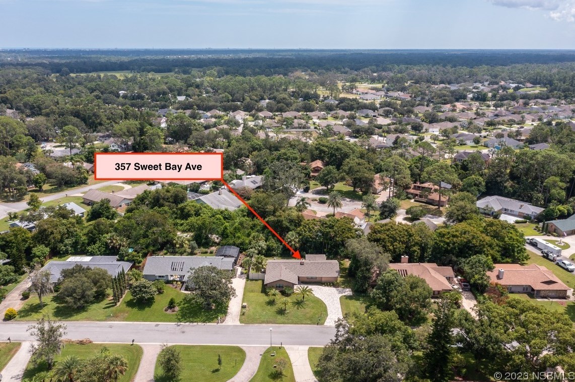 357 Sweet Bay Ave, New Smyrna FL  32168-7971 exterior