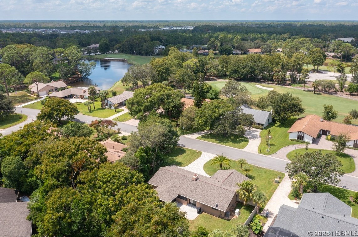 357 Sweet Bay Ave, New Smyrna FL  32168-7971 exterior