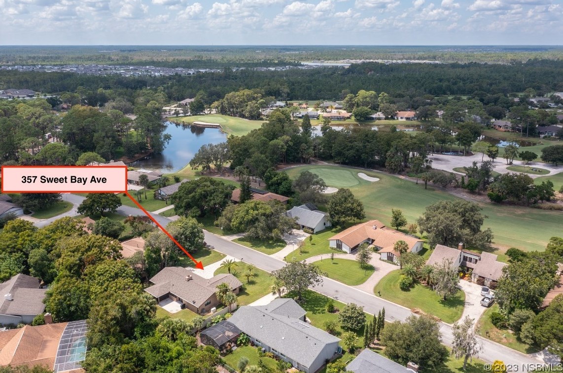 357 Sweet Bay Ave, New Smyrna FL  32168-7971 exterior