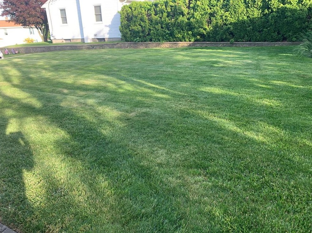 99 Yeoman Ave, Cranston RI  02920-2243 exterior