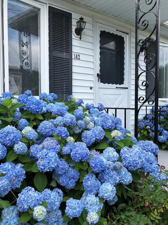 142 Renfrew Ave, Middletown, RI 02842