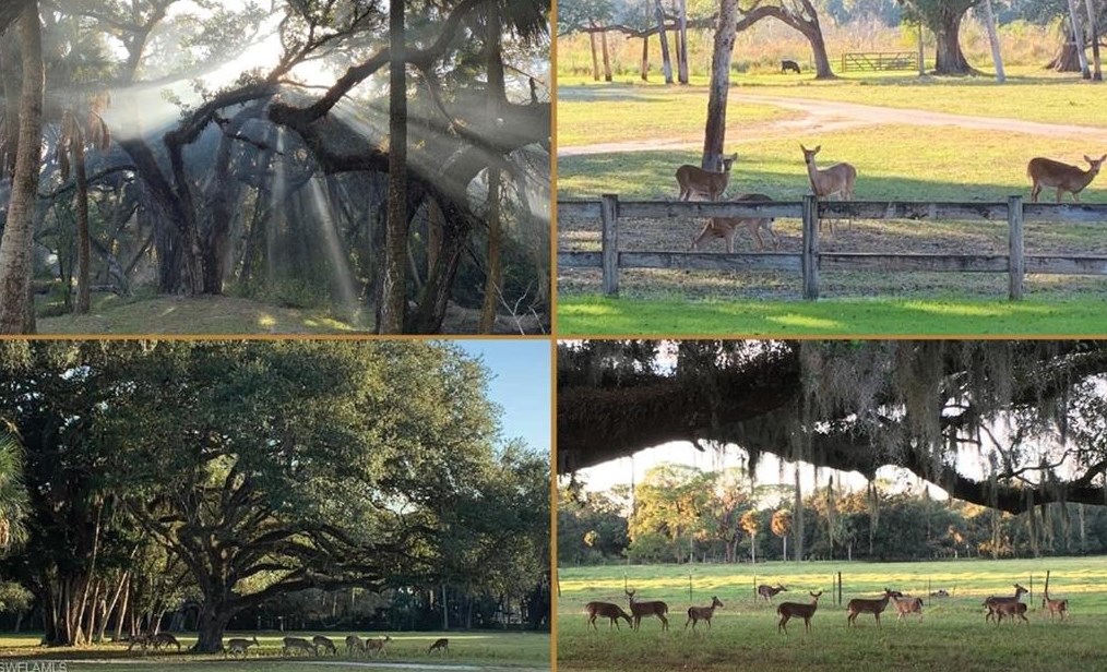 19500 Armeda Rd, Alva FL  33920-3126 exterior