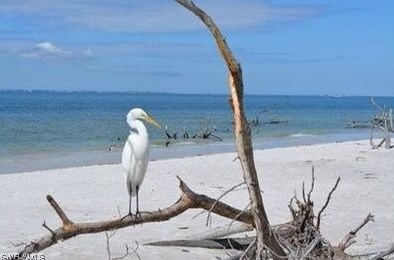 7360 Estero Blvd #604, Fort Myers Beach, FL 33931