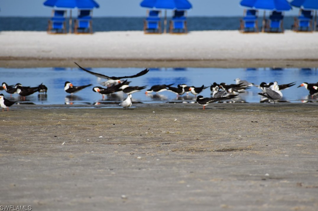 32 Fairview Blvd, Fort Myers Beach FL  33931-4565 exterior