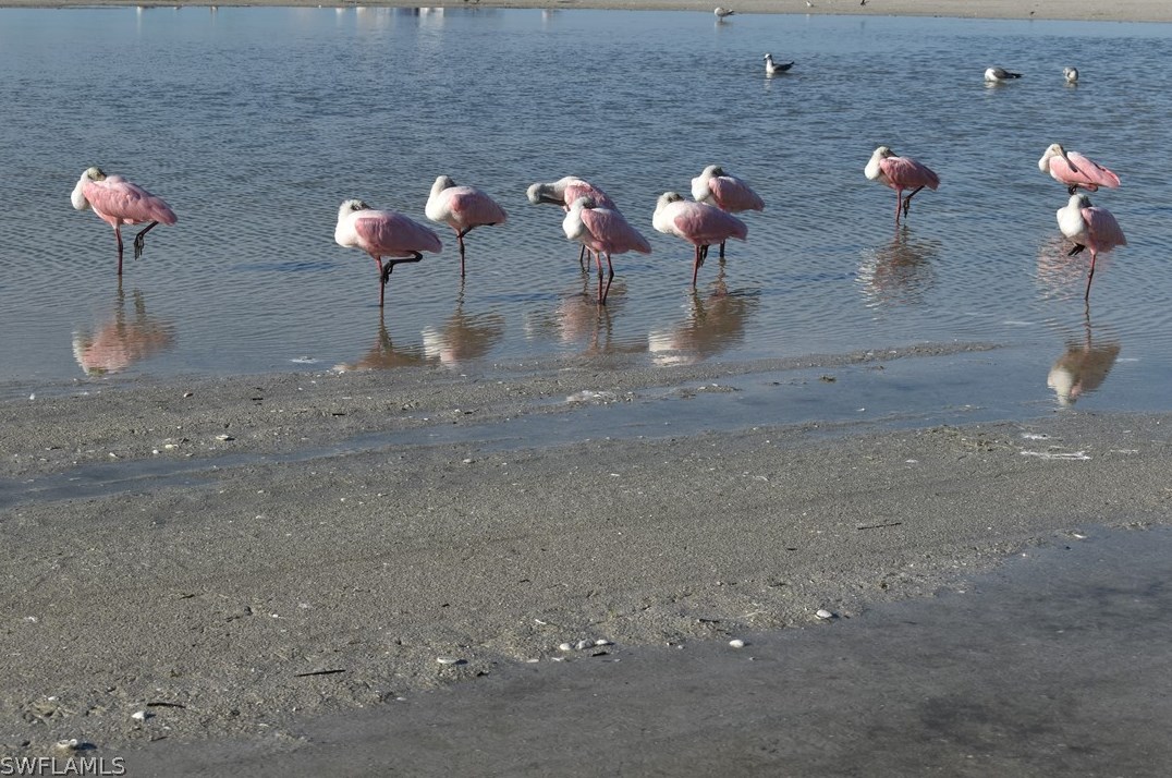 32 Fairview Blvd, Fort Myers Beach FL  33931-4565 exterior