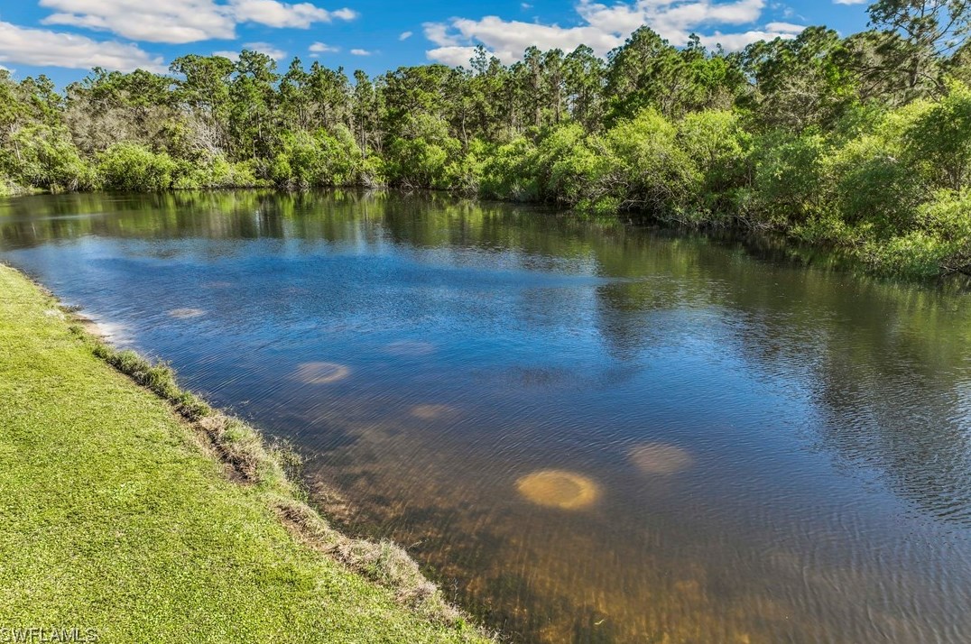 4429 Varsity Lakes Dr, Lehigh Acres FL  33971-2038 exterior