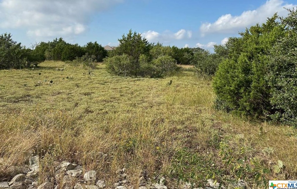 332 Copper Crst, New Braunfels, TX 78132-3900
