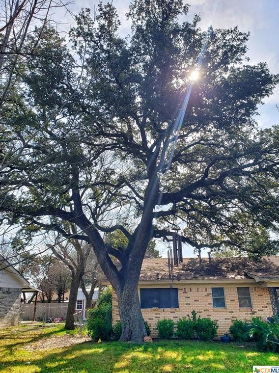 3412 Royal Dr, Gatesville, TX 76528-2624