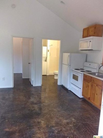 41340 Fm3159 #303, New Braunfels, TX 78133