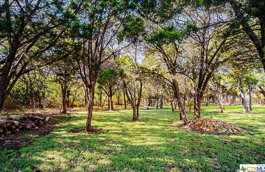 10110 Kopplin Rd, New Braunfels TX 78132-4668 exterior