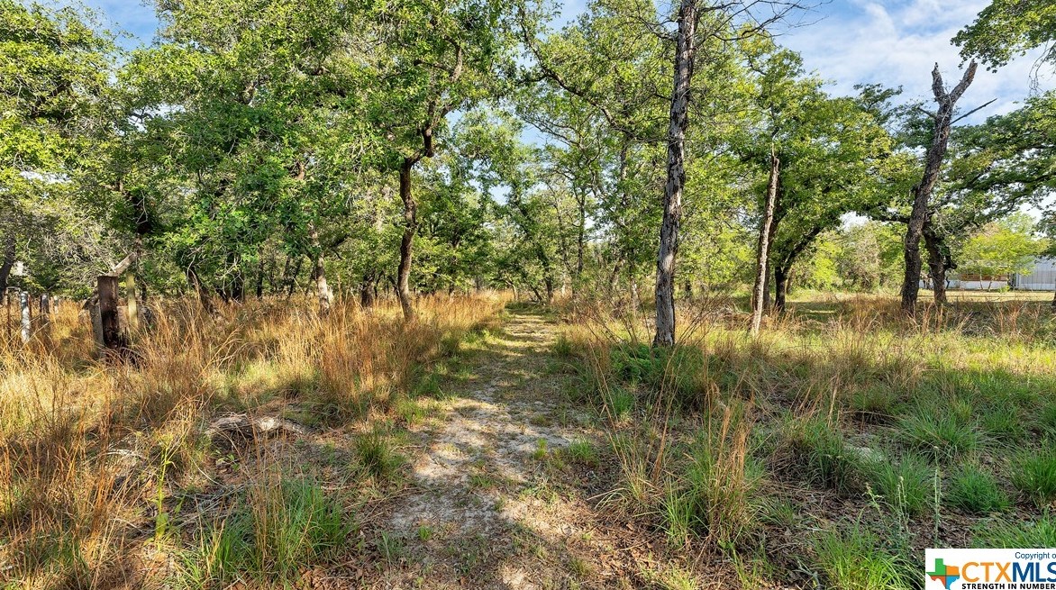 9225 Fm 1117, Seguin TX 78155-9643 exterior