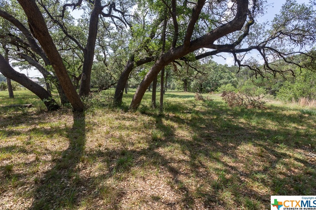 11200 Fm 306, New Braunfels TX 78130-2554 exterior