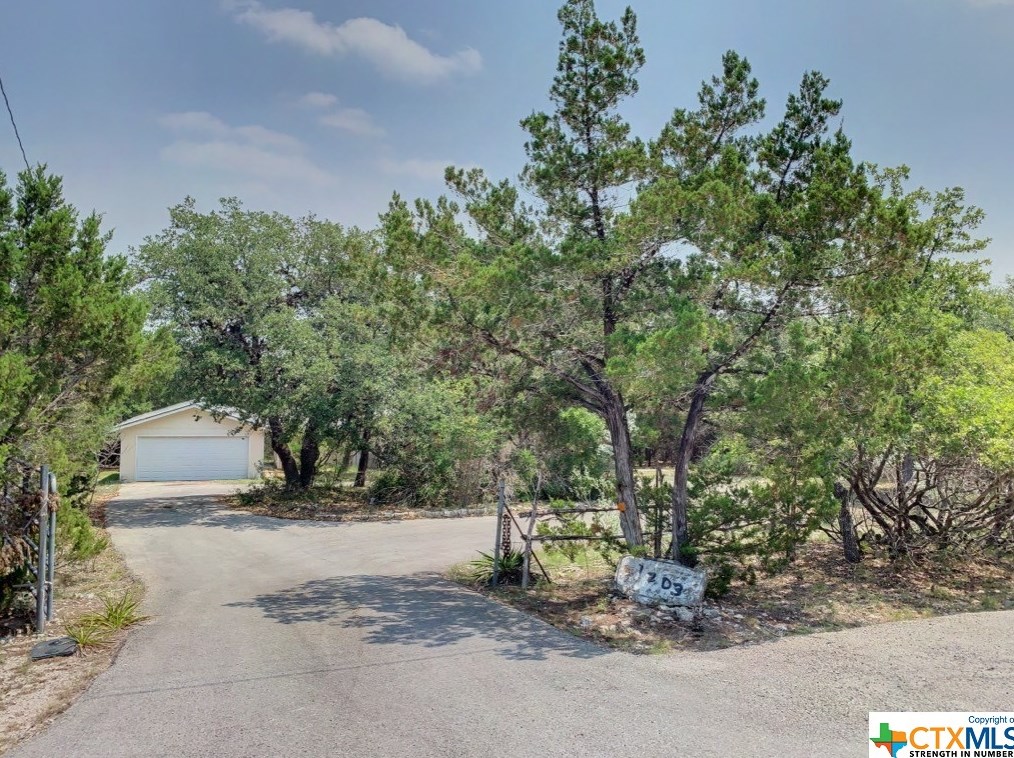 1203 Stallion Springs Dr, Fischer, TX 78623-1861