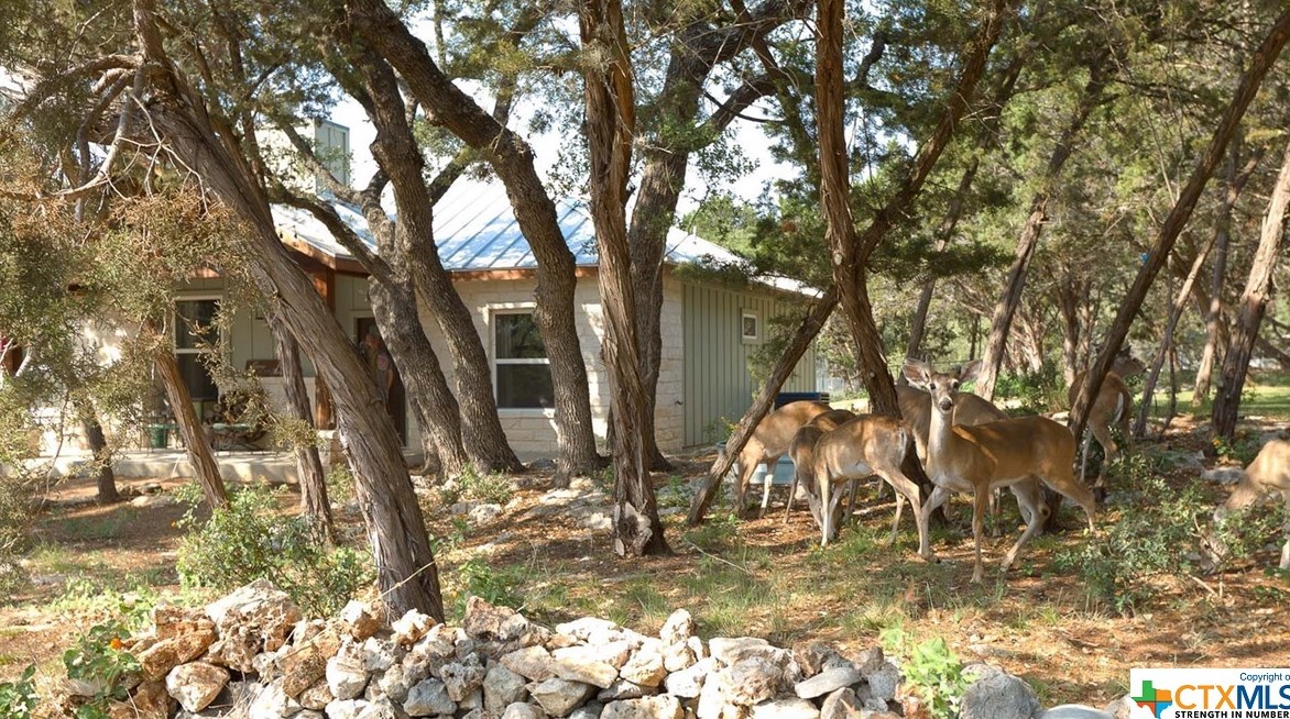 648 Mockingbird Dr, New Braunfels TX 78133-3698 exterior