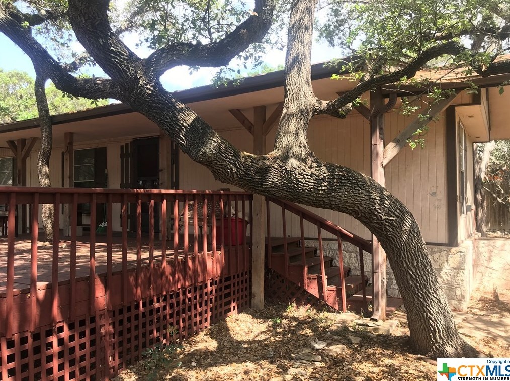 1102 High Mesa Dr, Woodcreek, TX 78676-9553