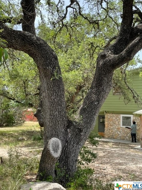 653 Lonesome, New Braunfels, TX 78133-2837